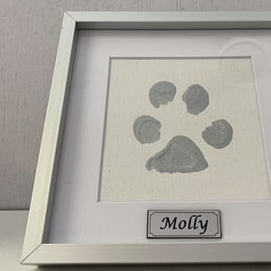 framed-canvas-paw-print-with-plaque